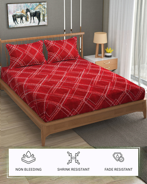 Furnofy Premium Fitted Double Bedsheet with 2 Pillow Covers (L-78